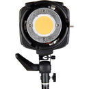 Godox SL-200 LED Video Light (Daylight-Balanced)