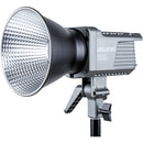 Amaran 100d LED Light