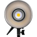 Amaran 100d LED Light