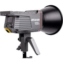 Amaran 100x Bi-Color LED Light