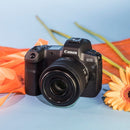 Canon RF 35mm F1.8 IS Macro STM Lens (Rental)