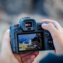 Canon EOS R Body (Rental)