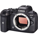 Canon EOS R6 Body (Rental)