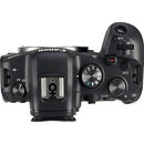 Canon EOS R6 Body (Rental)