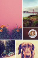 Collage Large Prints