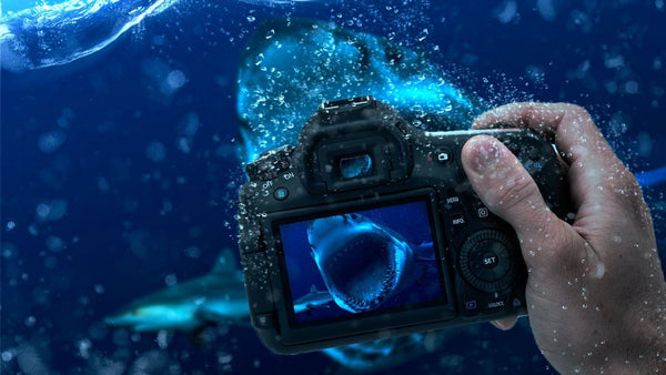 Reasons to Use Underwater Camera on Your Next Trip